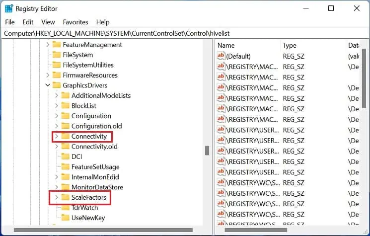 Dual Monitors Not Detected? Try These 8 Fixes 23 delete-connectivity-and-scale-factors