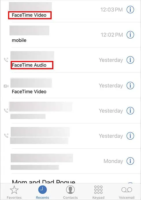 How to Check FaceTime Call History 3 facetime-call-on-phone-app