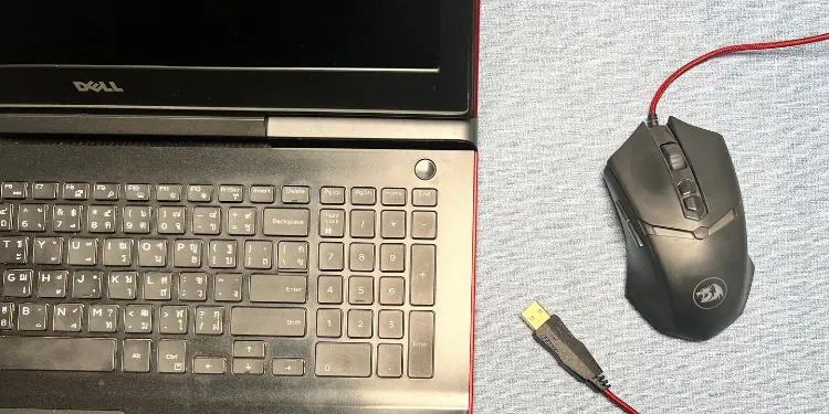 14 Ways to Solve a Black Screen on Your Dell Laptop 5 remove-external-device-from-dell-laptop