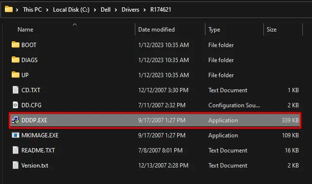 run-dddp-executable-file