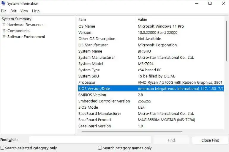 check-bios-version