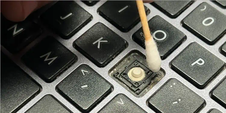12 Ways to Fix Keyboard Not Working on Dell Laptop 34 clean-key-hinges-using-cotton-bud