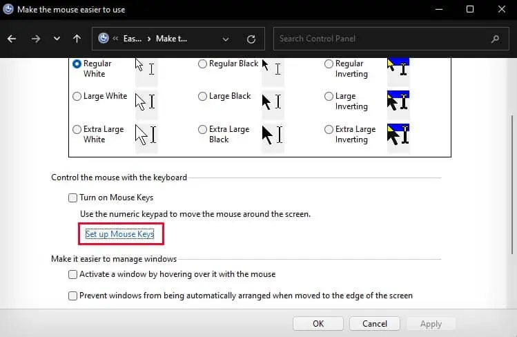 control-panel-setup-mouse-keys