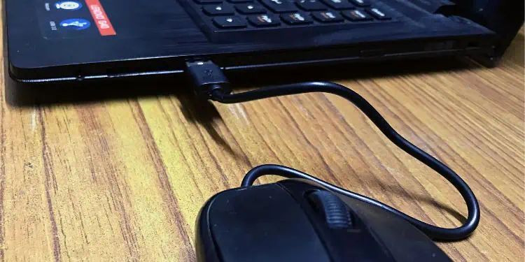 Why is My Mouse Not Working? 20 Ways to Fix It 4 reconnect-your-wired-mouse