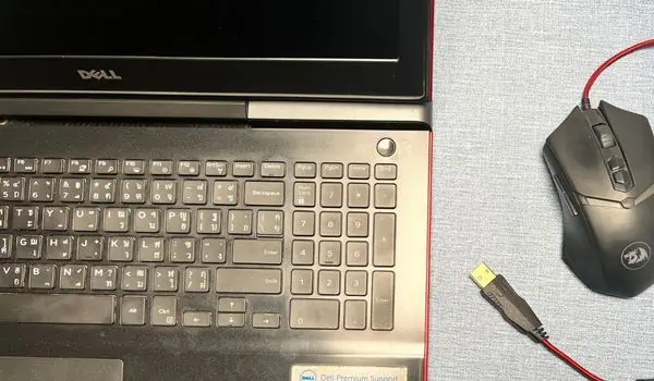 Amber or Orange Light Blinking on Dell Laptop? 16 Ways to Fix It 3 remove-external-peripherals-from-dell-laptop