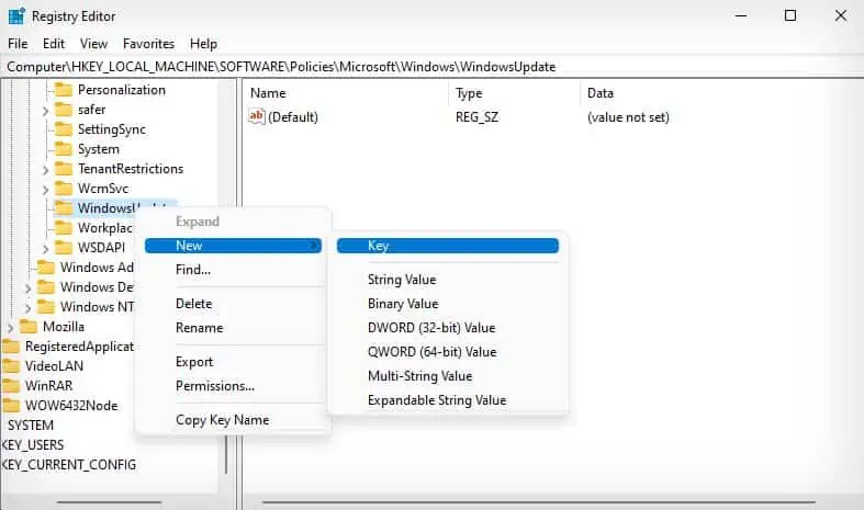 new-registry-key-in-windows-update