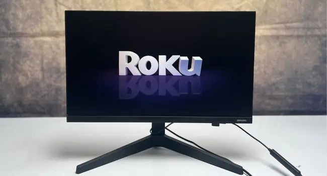 How to Use Monitor Without PC? Detailed Guide 32 roku-screen