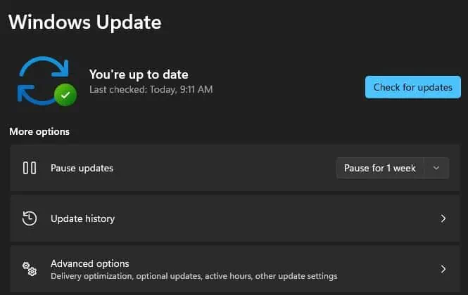 check-windows-update-windows-search-not-working