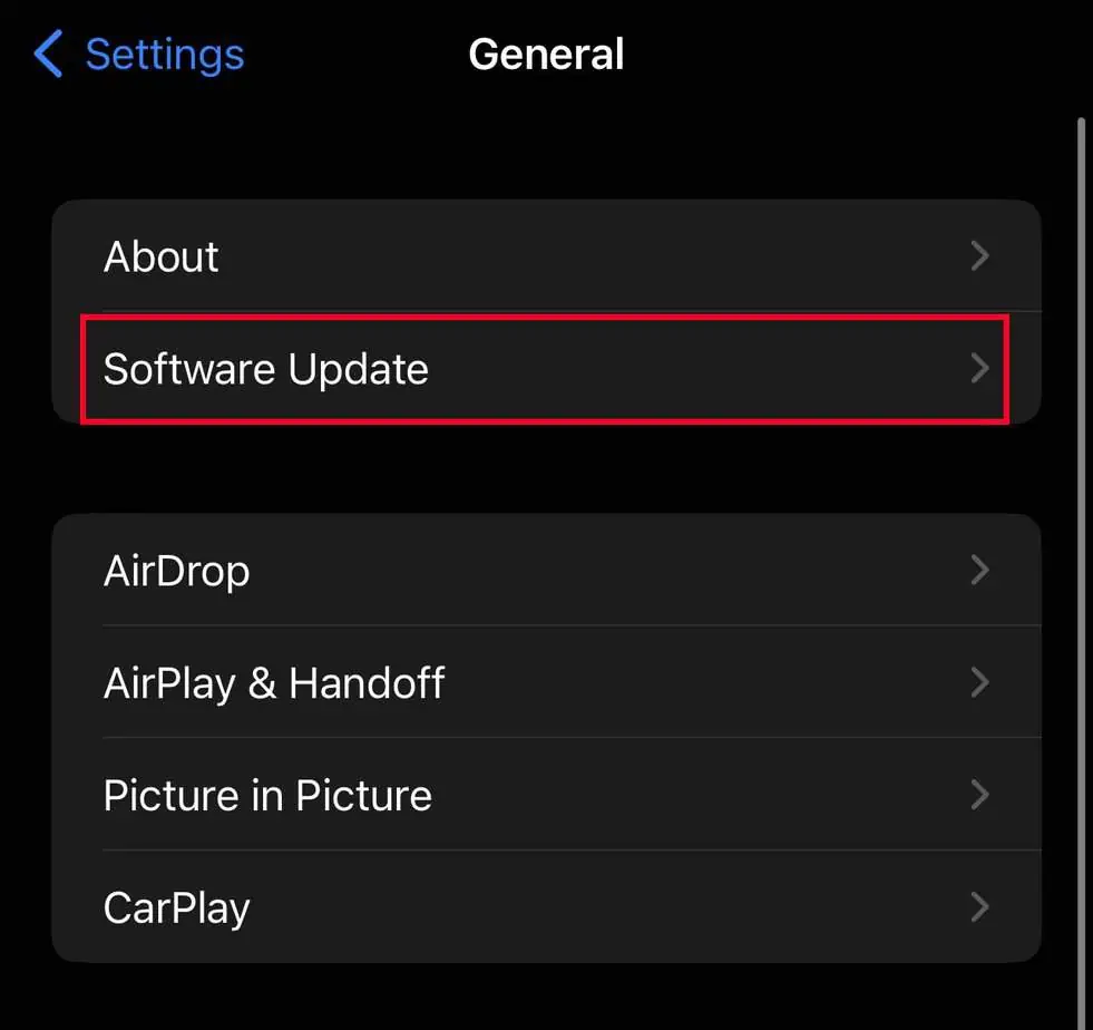 YouTube App Not Working? How to Fix It 17 ios-software-update-settings