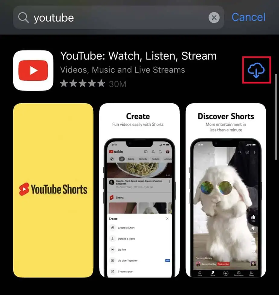 YouTube App Not Working? How to Fix It 12 reinstall-youtube-ios