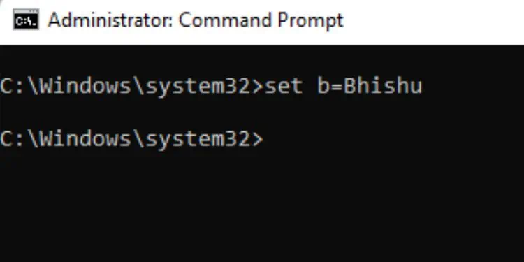 setting-environment-variable
