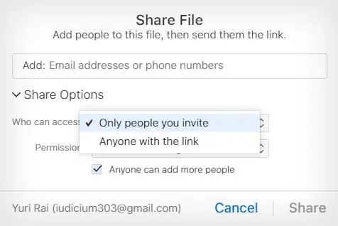How to Send Large Files via Email? 3 Easy Ways 21 share-file-link-from-icloud-access-settings