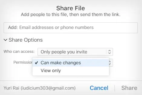 How to Send Large Files via Email? 3 Easy Ways 22 share-file-link-from-icloud-permission-settings