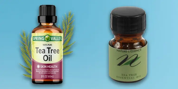tea-tree-oil