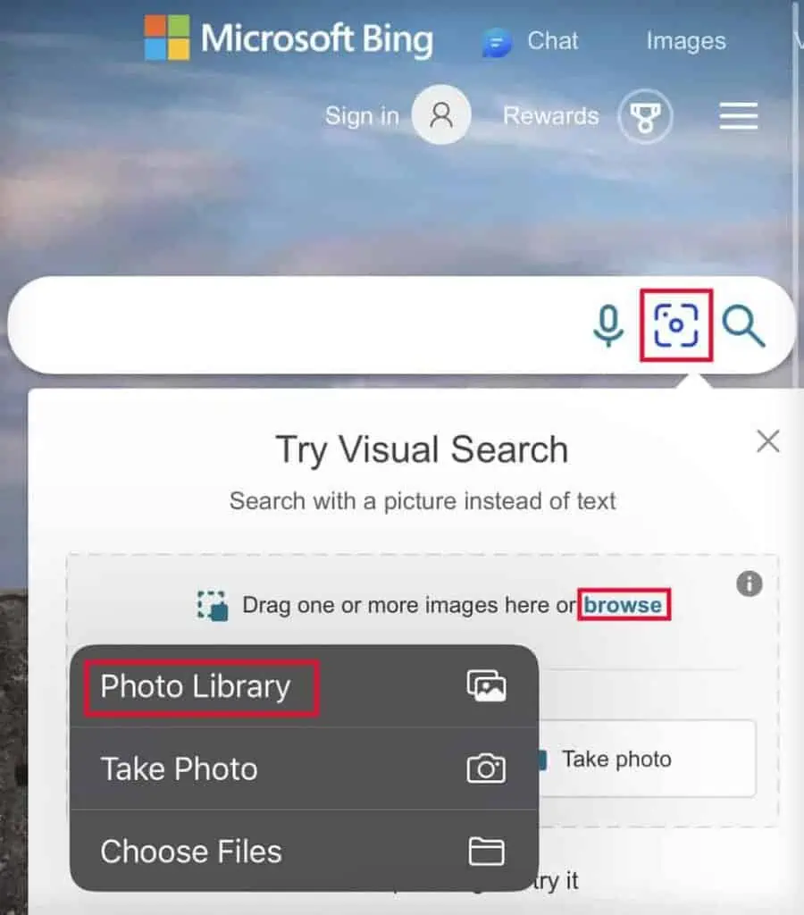 bing-image-search-browse-photo-library-1-900x1024