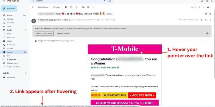 hover-pointer-and-check-the-link