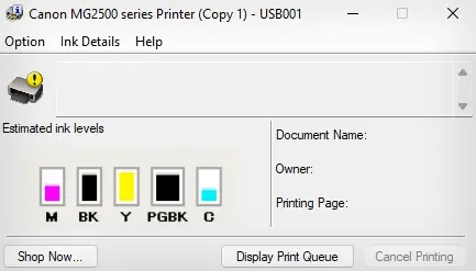 Why is My Printer Printing Pink? 6 Ways to Fix It 15 ink-level-on-canon-printer-2