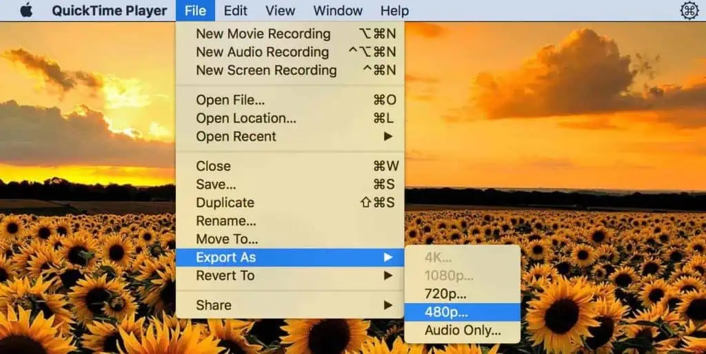 How to Compress a Video and Reduce File Size 13 quicktime-player-export-video-on-low-res-1024x514