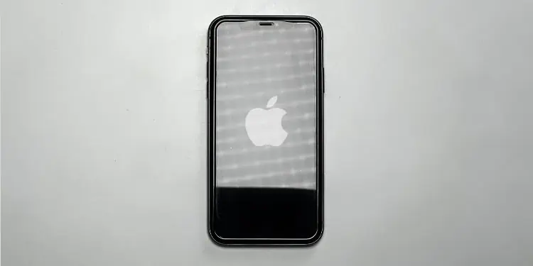 How to Clean Lightning Port Safely 1 turn-off-iphone-clean-lightning-port