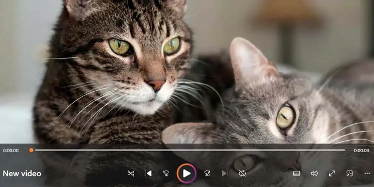 video-frame-screenshot