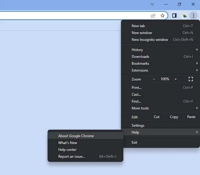 Fix: This Video Can’t Be Played (Error Code 224003) 17 about-google-chrome-1