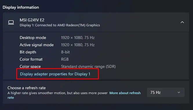 How to Change Your Monitor Refresh Rate 4 display-adapter-properties-for-display-1