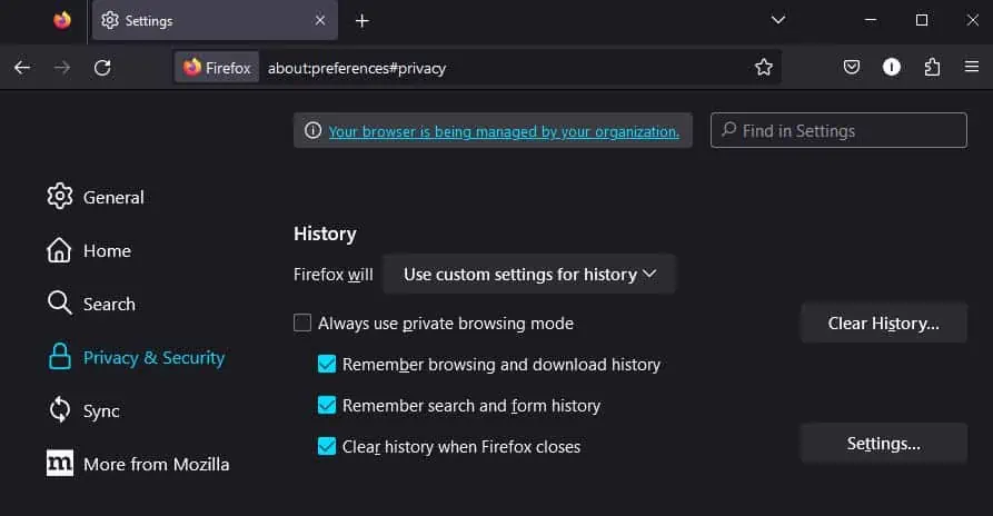 How to Clear History on Firefox 10 firefox-custom-history-settings