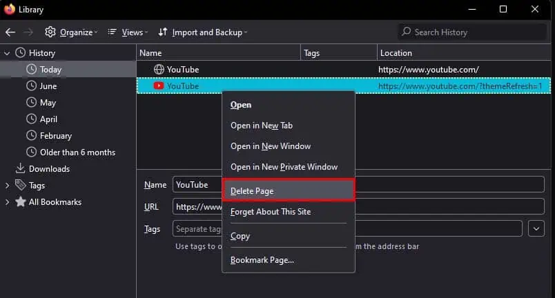 How to Clear History on Firefox 6 firefox-history-delete-page