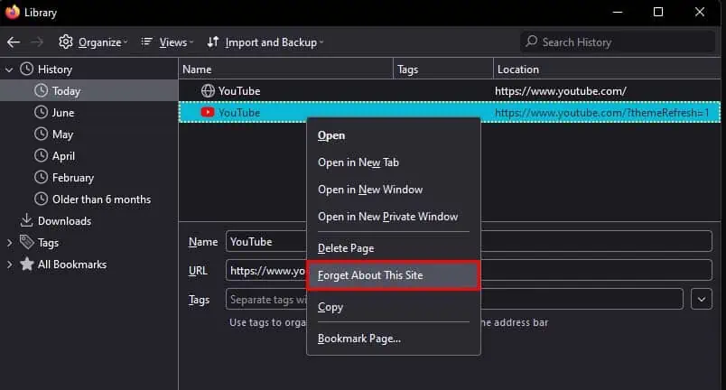 How to Clear History on Firefox 7 firefox-history-forget-about-this-site