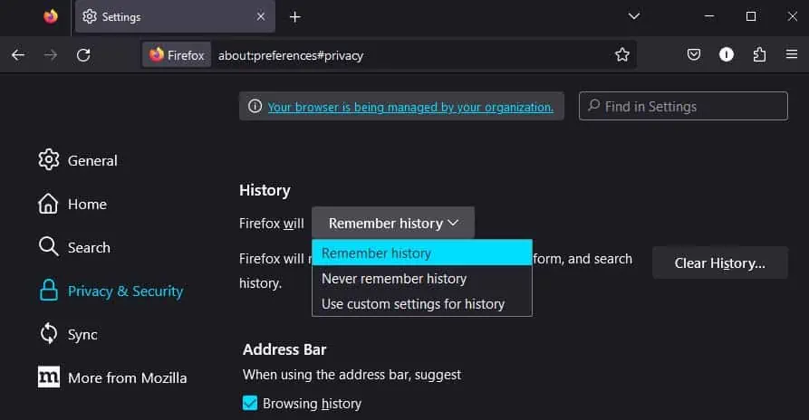 How to Clear History on Firefox 9 firefox-history-settings