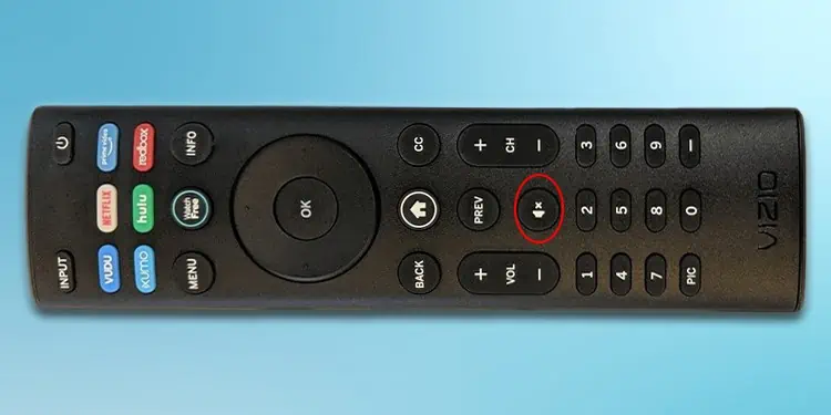 mute-button-on-vizio-tv-remote
