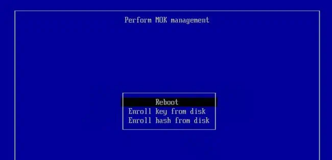 How To Enable Secure Boot Support For Ventoy 8 reboot-mok-management