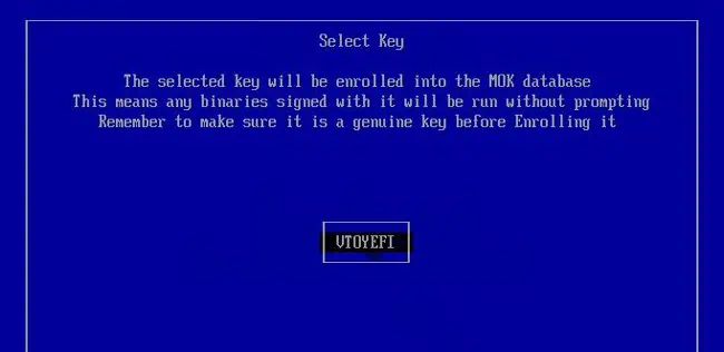 How To Enable Secure Boot Support For Ventoy 4 vtoyefi-enroll-key