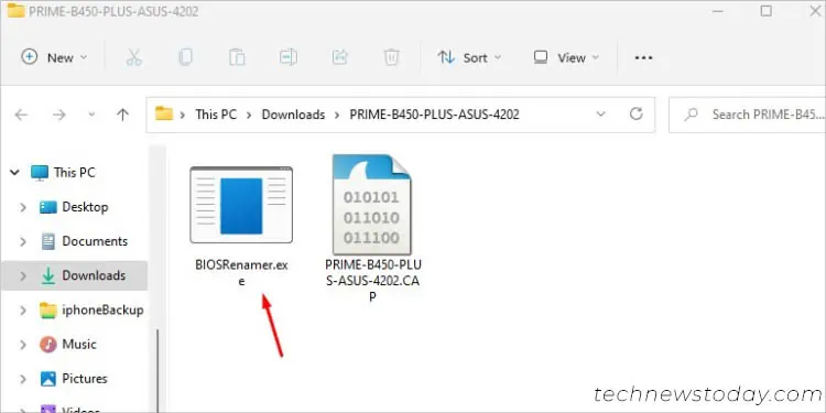 BIOS Update Failed? Try These Methods to Recover 2 biosrenamer