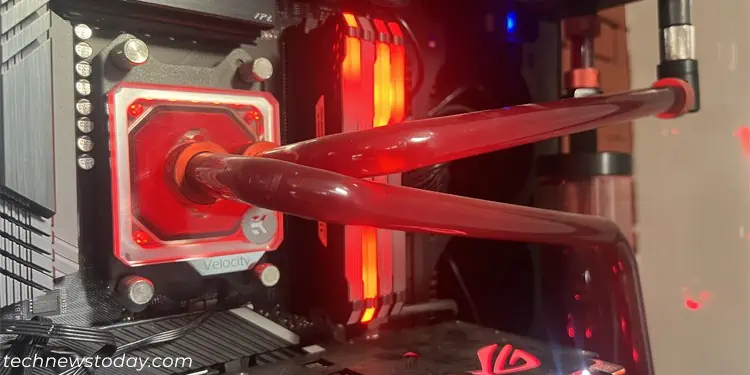 custom-loop-aesthetics